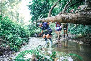 BIB: 
                            <button type="button" onclick="openModal(25447818)" class="btn btn-primary btn-sm float-right btn-popup" data-toggle="modal" data-target=".modal-high-quality">
                        <i class="fas fa-shopping-cart"></i> Add to Cart
                    </button>
                                            <button type="button" onclick="isThisMe(25447818, true)" class="btn btn-success btn-sm float-right btn-popup btn-isme hidden" data-toggle="tooltip" data-placement="bottom" title="นี่คือรูปของคุณใช่ไหม คลิกที่นี่เพื่อเอาเข้าอัลบั้ม">
                        <i class="fas fa-plus"></i> Add to album
                    </button>
                    <button type="button" onclick="isThisMe(25447818, false)" class="btn btn-warning btn-sm float-right btn-popup btn-isnotme hidden">
                        <i class="fas fa-ban"></i> Remove from album
                    </button>